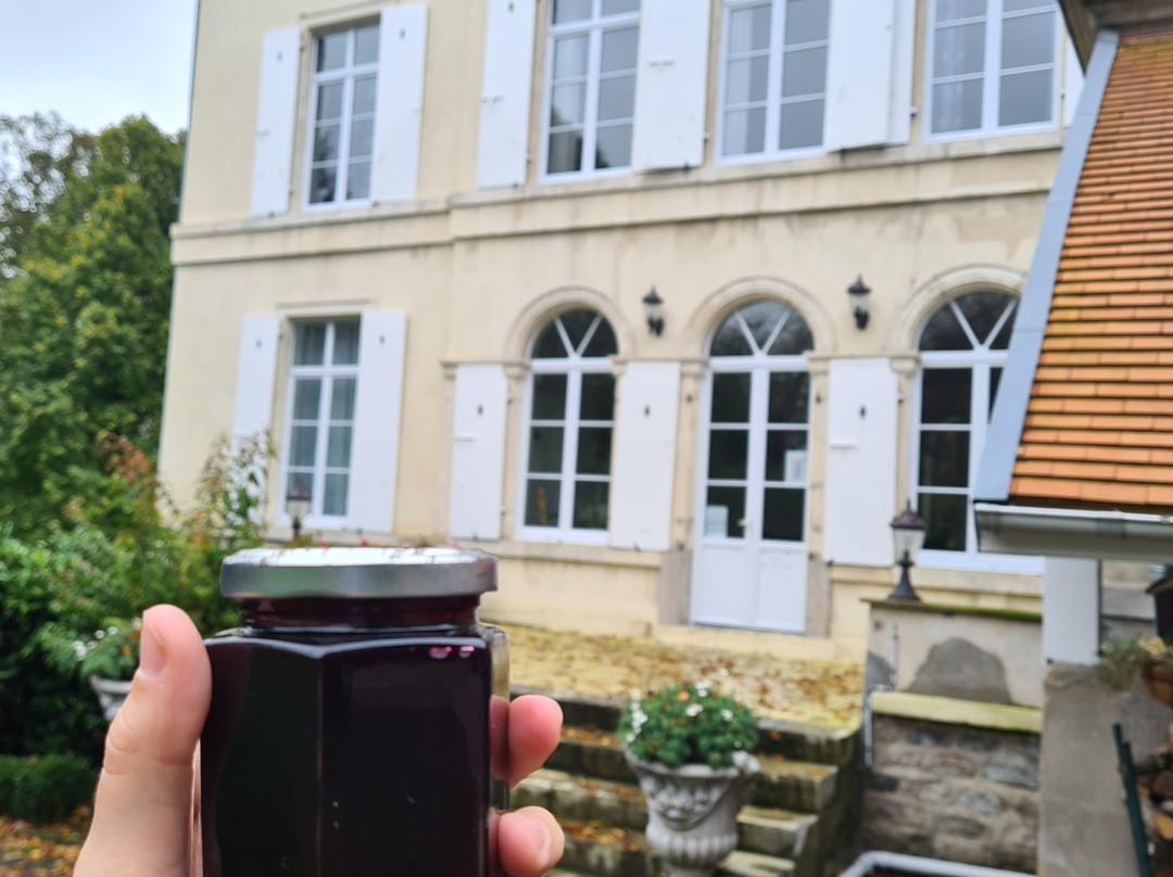 Maison Grandsire - Logis de Charme主图