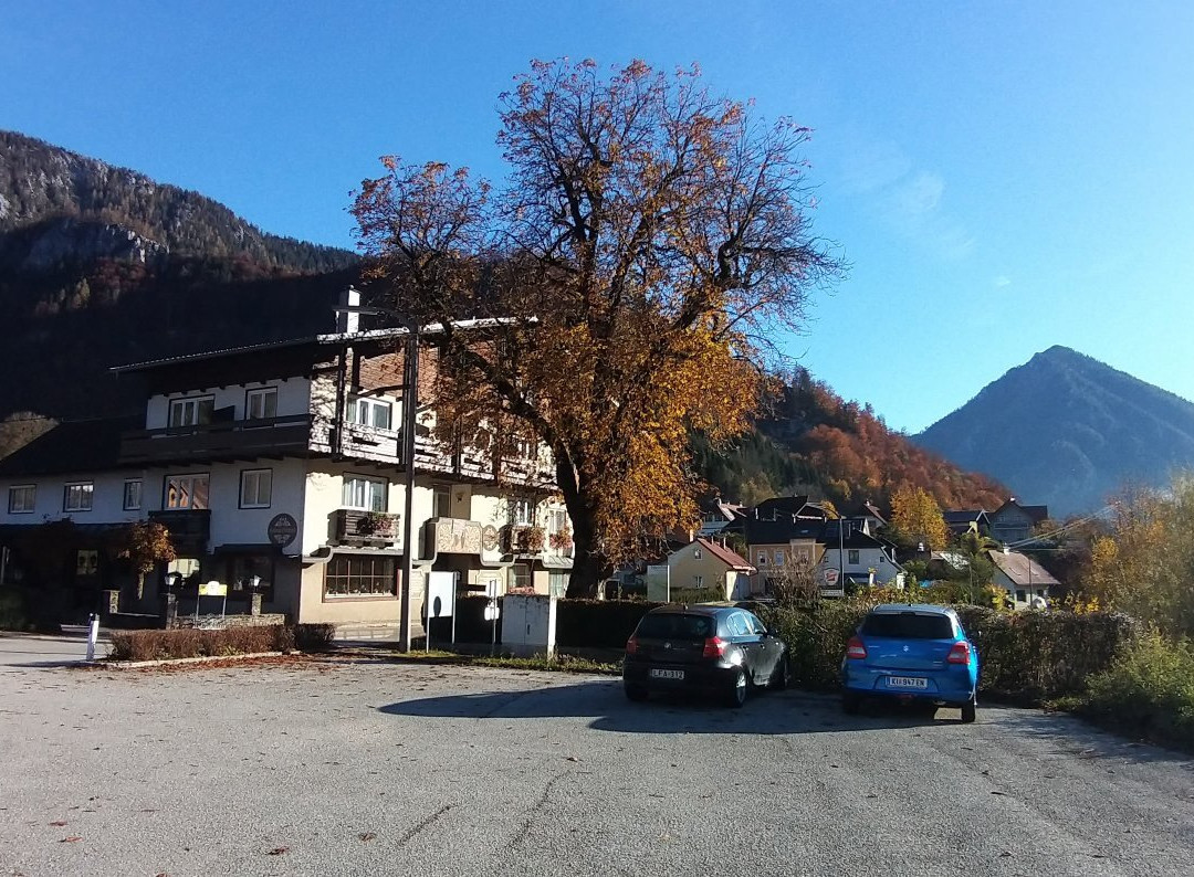 Gasthof zur Kaiserin Elisabeth主图