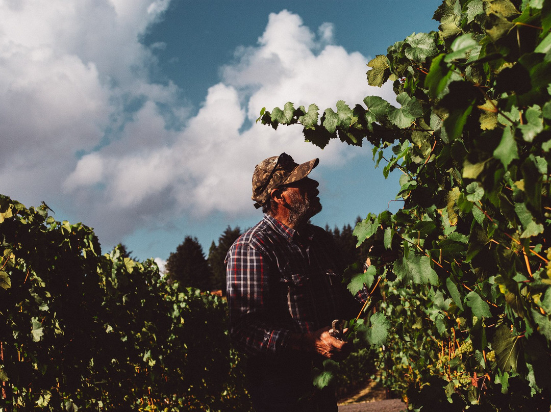 Coria Estates-塞勒姆必去景点