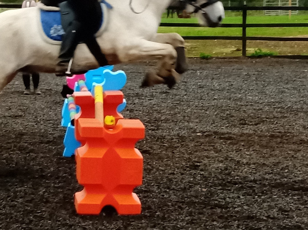 Montys Equestrian Centre景点图片