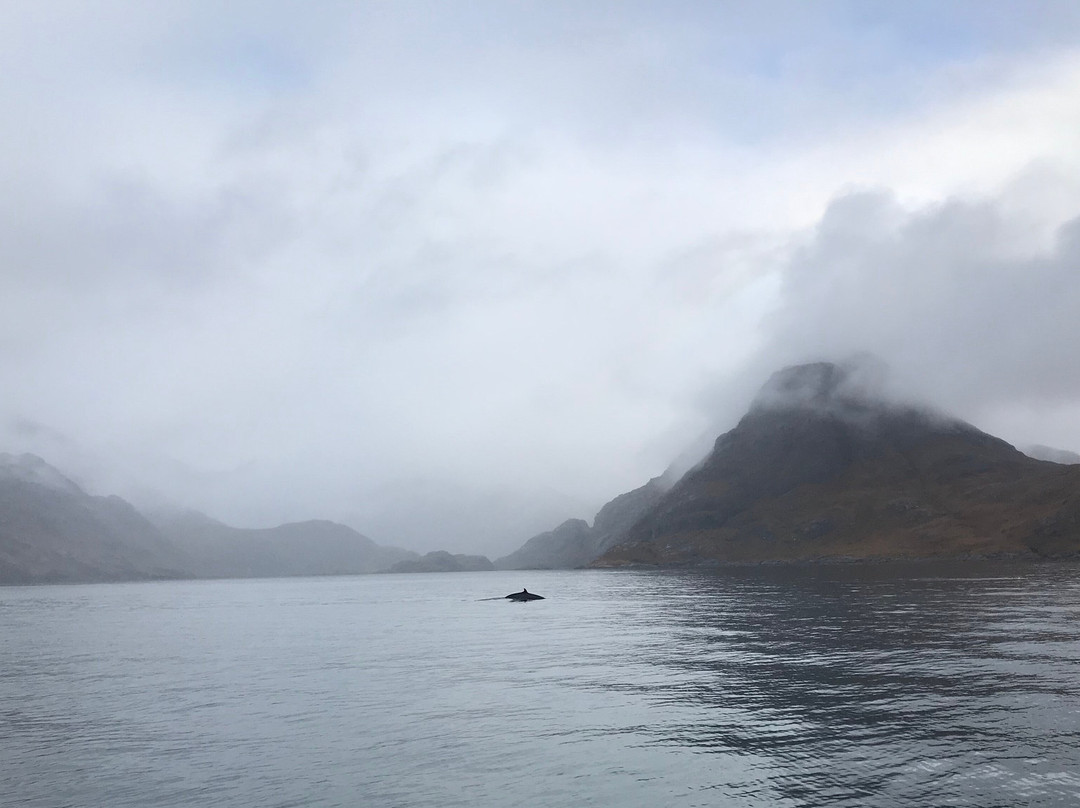Misty Isle Boat Trips景点图片