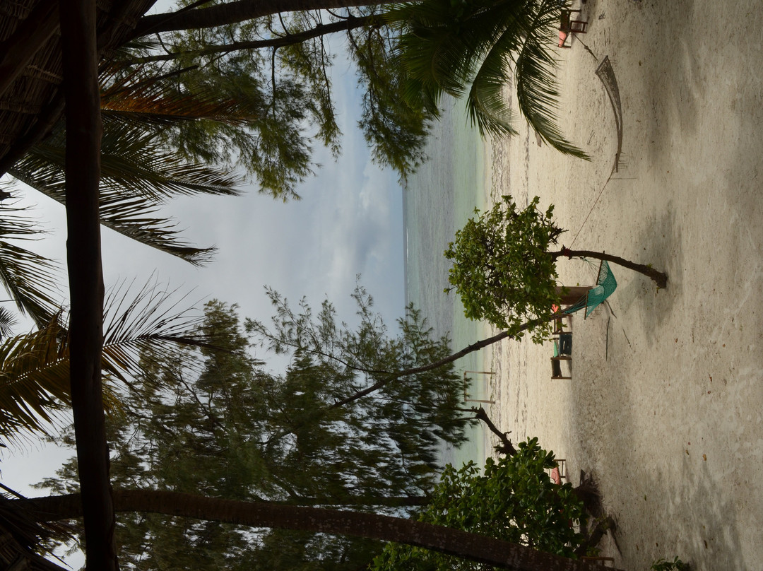 Evergreen Bungalows主图