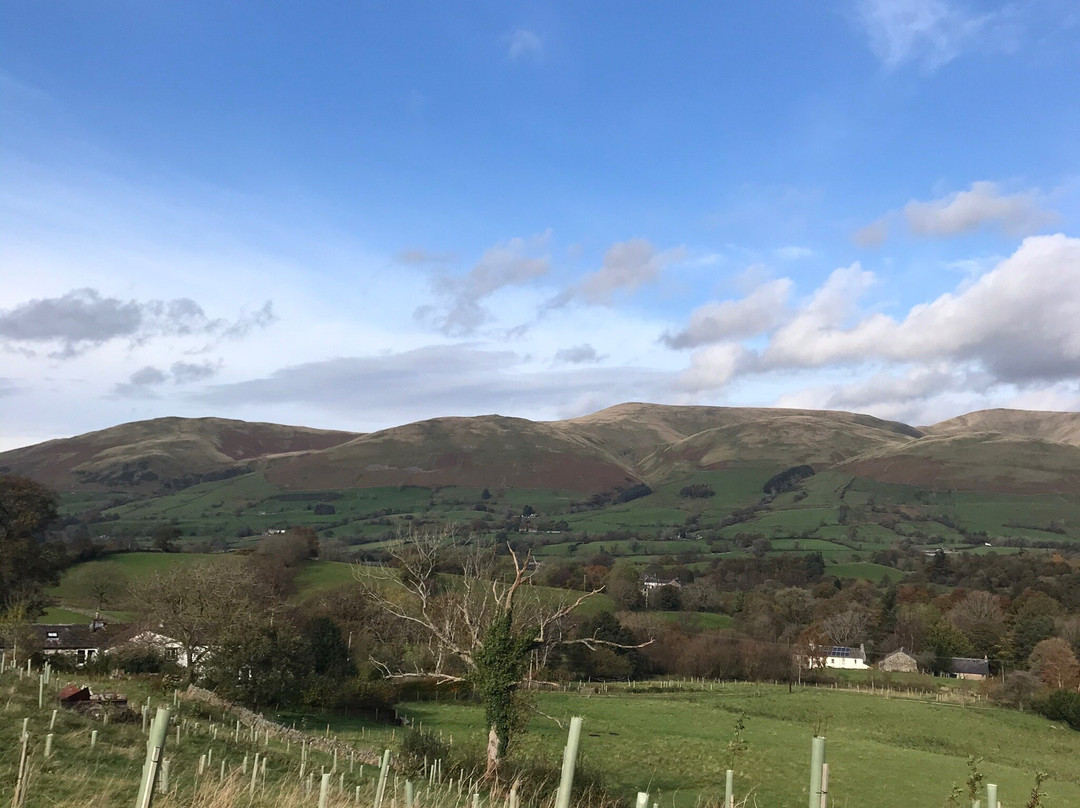 Low Branthwaites主图