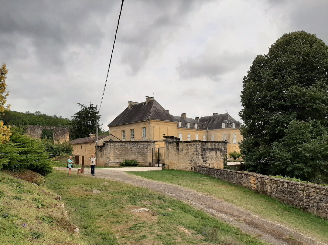 Chateau du Roc景点图片