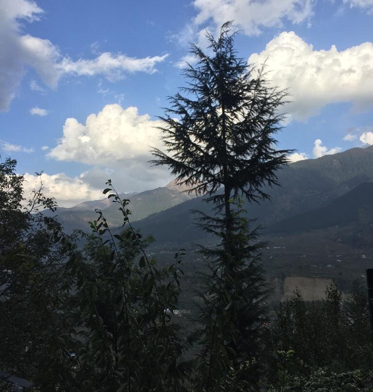 Autumnred Cottage Manali主图