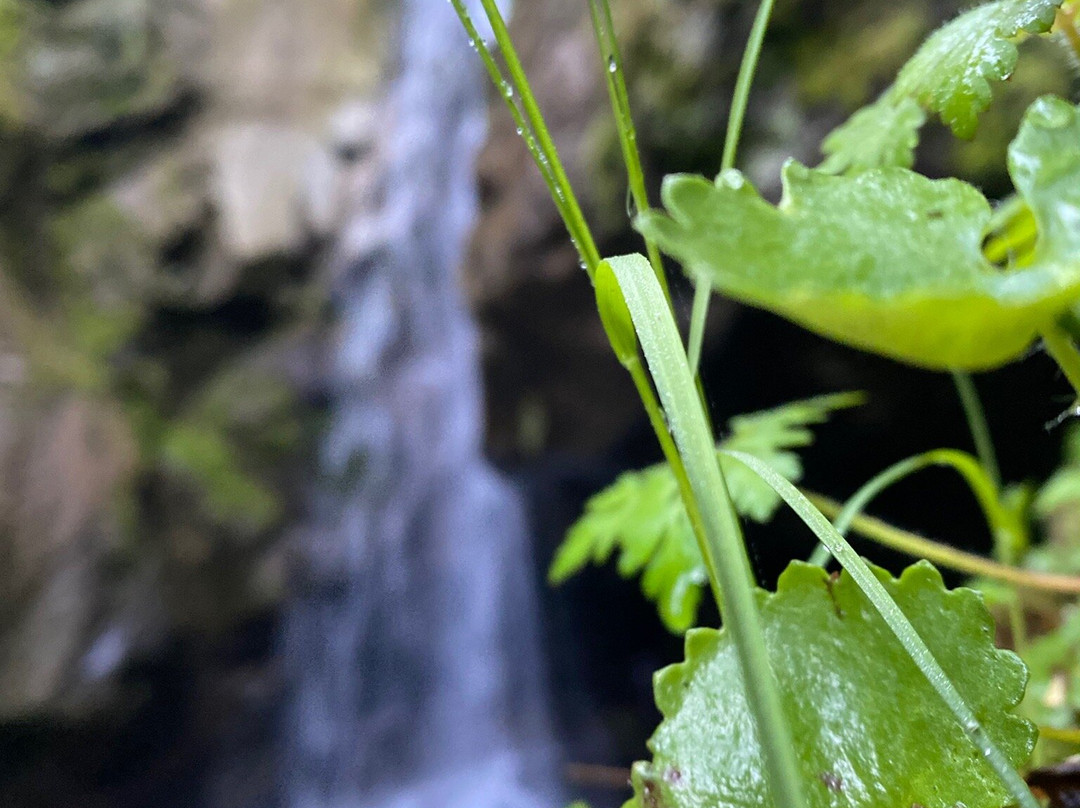 Kostenets Waterfall景点图片