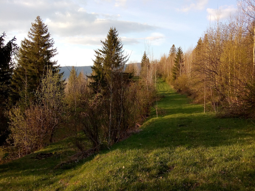 Krížová cesta Zuberec - Kýčera景点图片