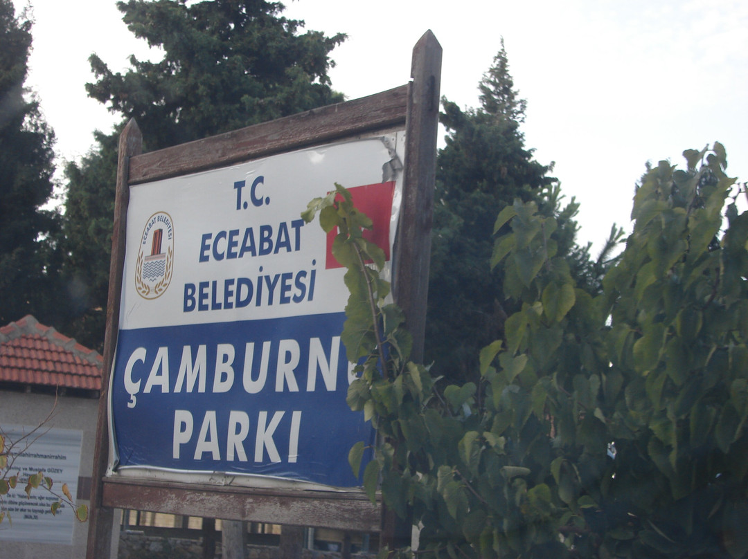 Çamburun Parkı景点图片