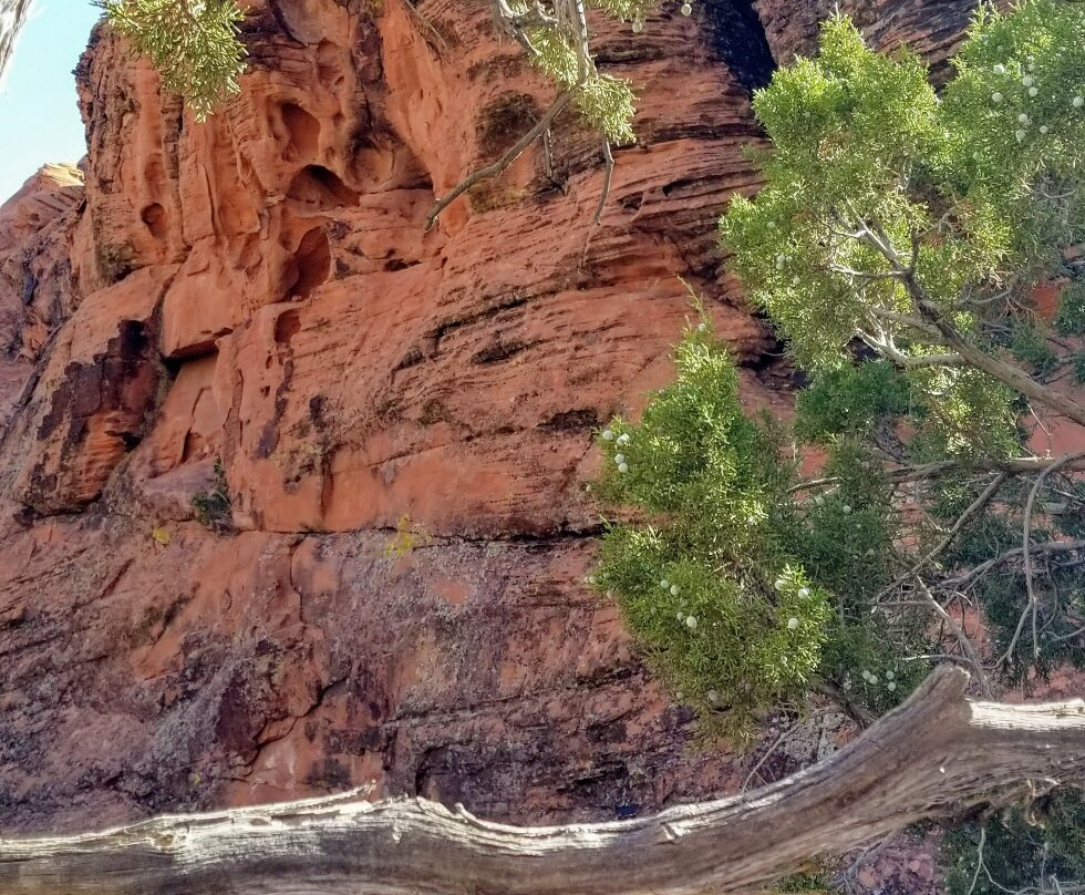 Snow Canyon State Park-犹他州必去景点