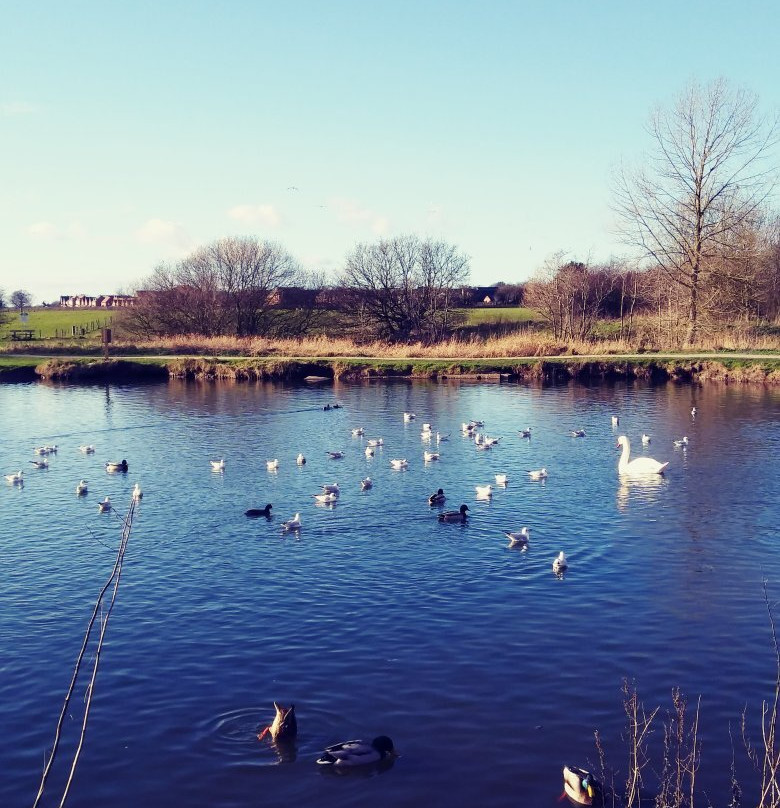 Nantwich Lake-Nantwich必去景点