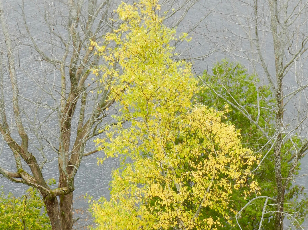 迪赫特度假酒店主图