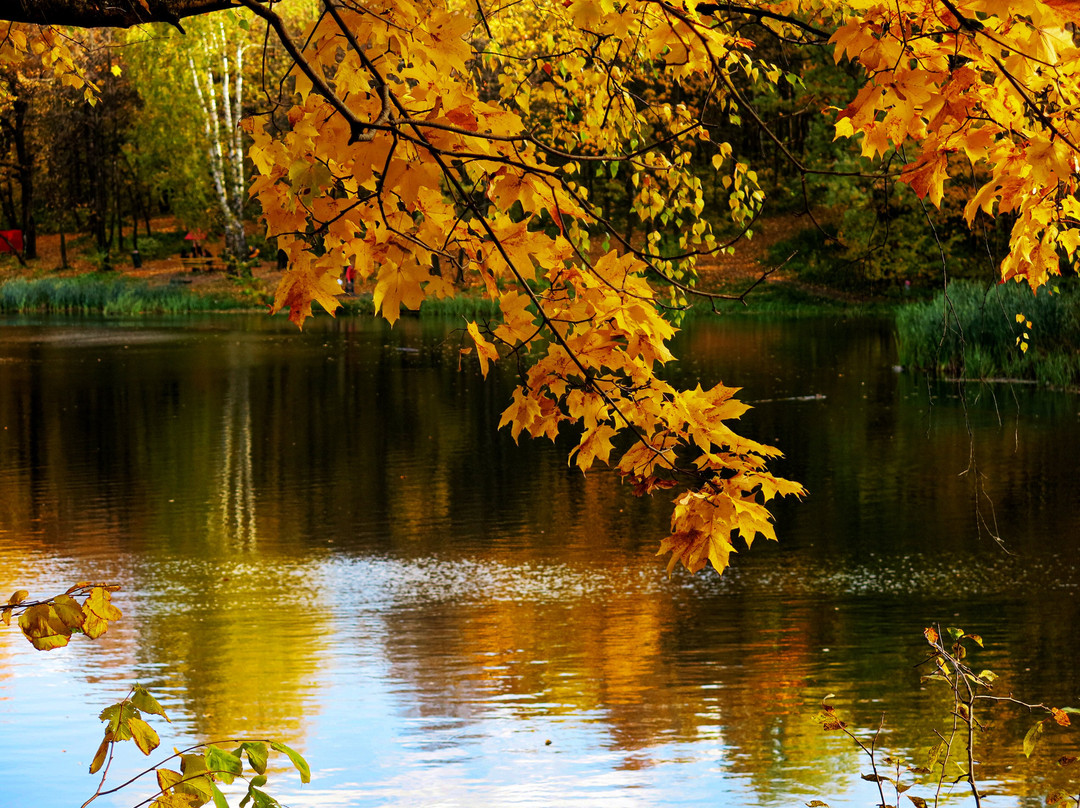 Beach on Shhelokovskiy Khutor-下诺夫哥罗德必去景点