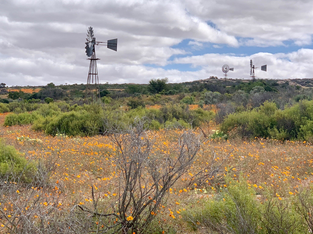 Skilpad Wild Flower Reserve-Garies必去景点