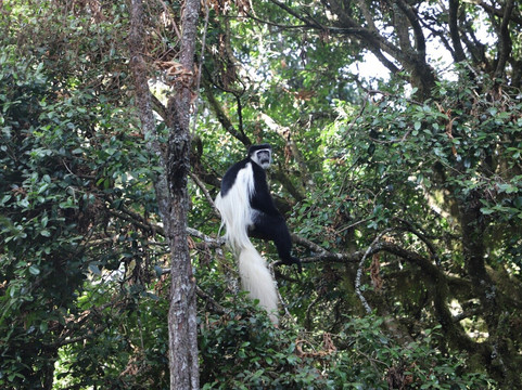 Wild Life Oasis Tours-阿鲁沙必去景点