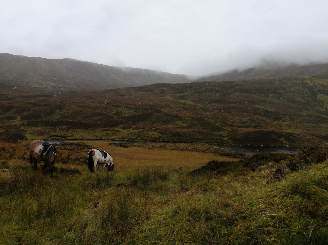 Highland Trekking and Trail Riding景点图片
