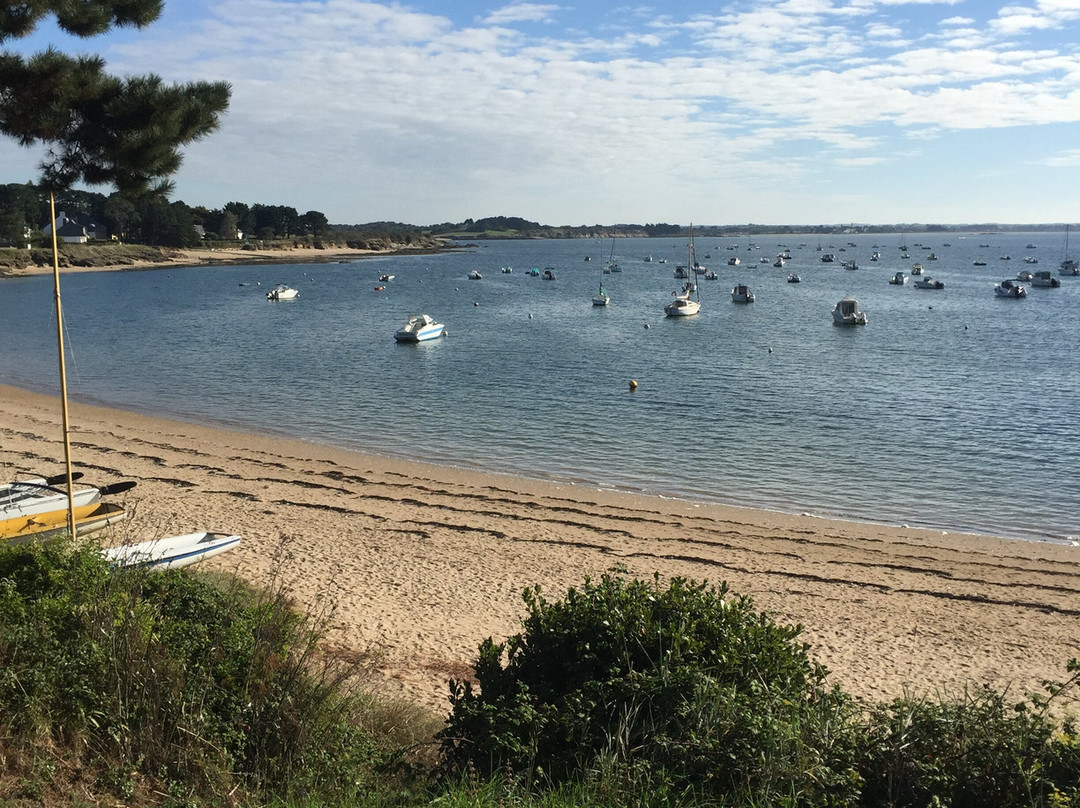 Grande Plage de Damgan景点图片
