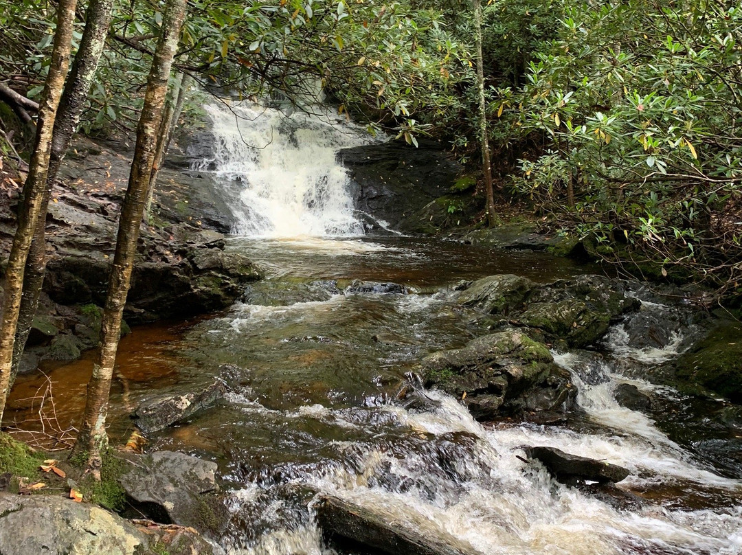 Big Laurel Falls景点图片