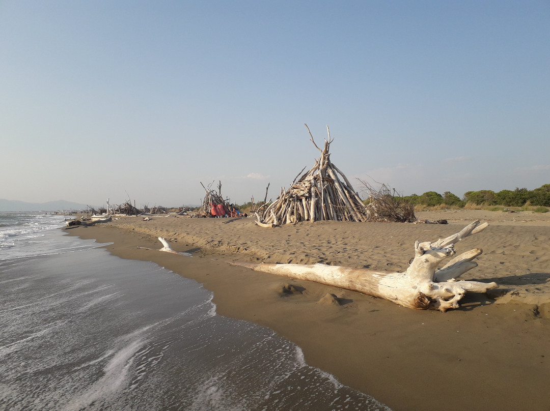 Spiaggia delle Capanne-Principina a Mare必去景点