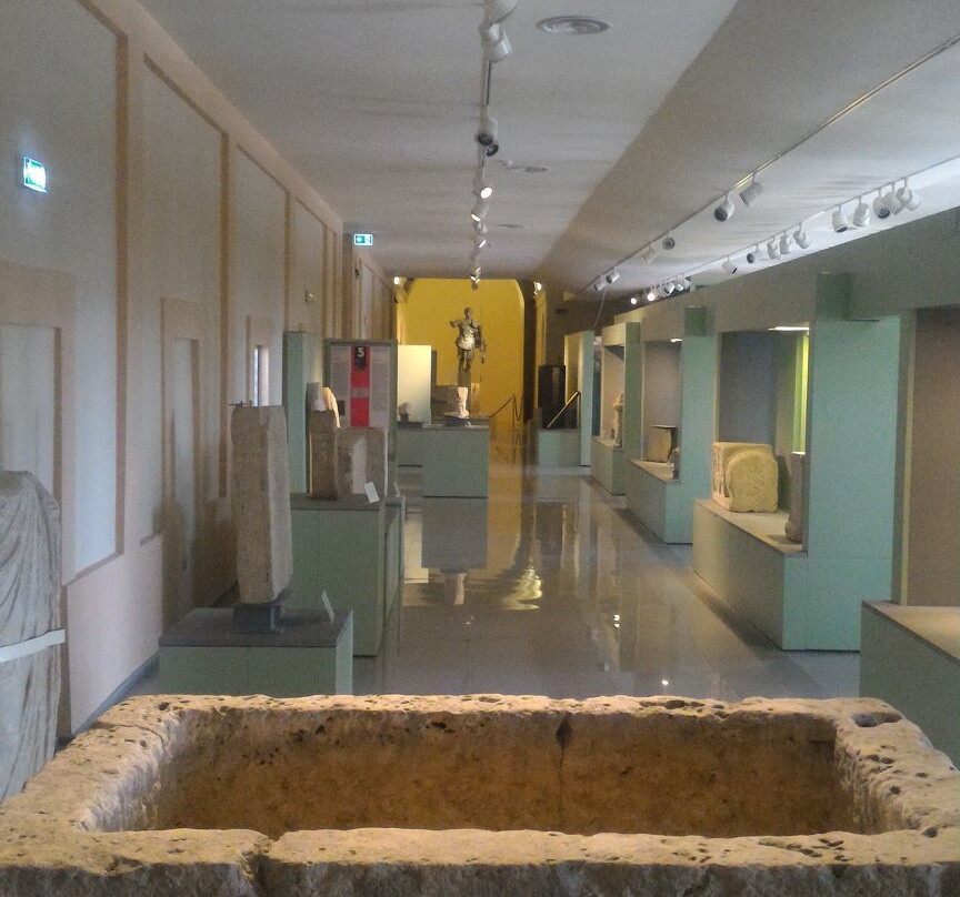 Museo Civico Archeologico e Pinacoteca Edilberto Rosa-Amelia必去景点