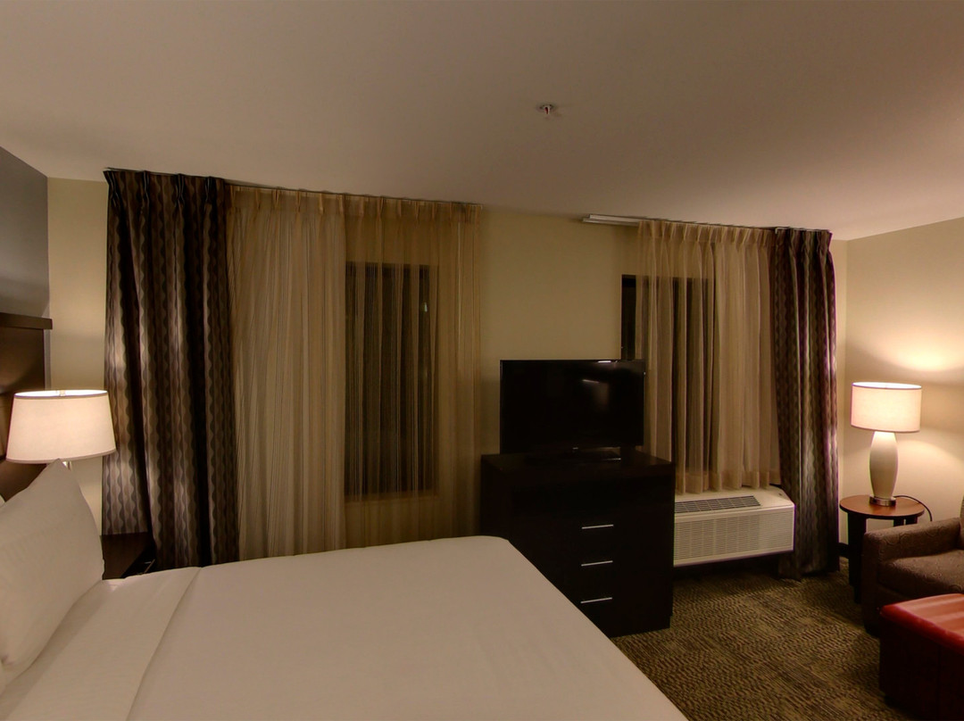 Staybridge Suites Ann Arbor - Univ of Michigan by IHG主图