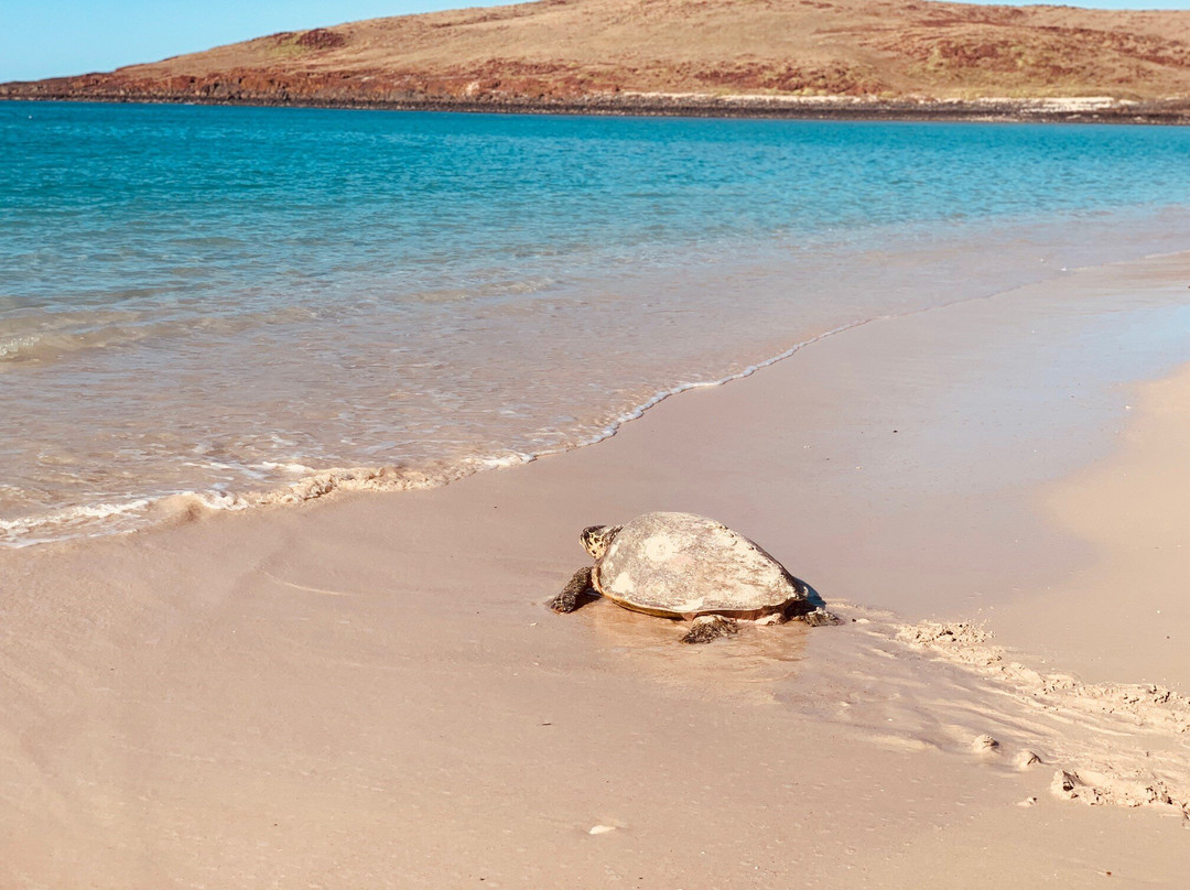 HeliSpirit-卡拉萨必去景点