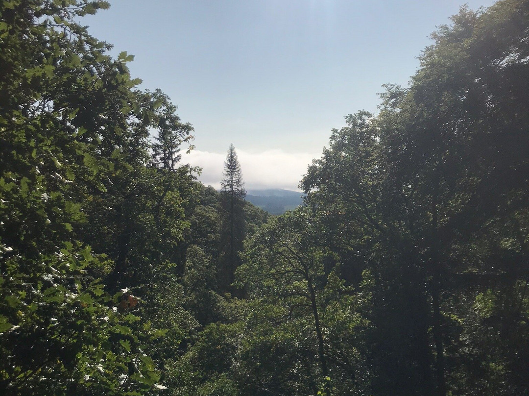 Deil's Cauldron-Comrie必去景点