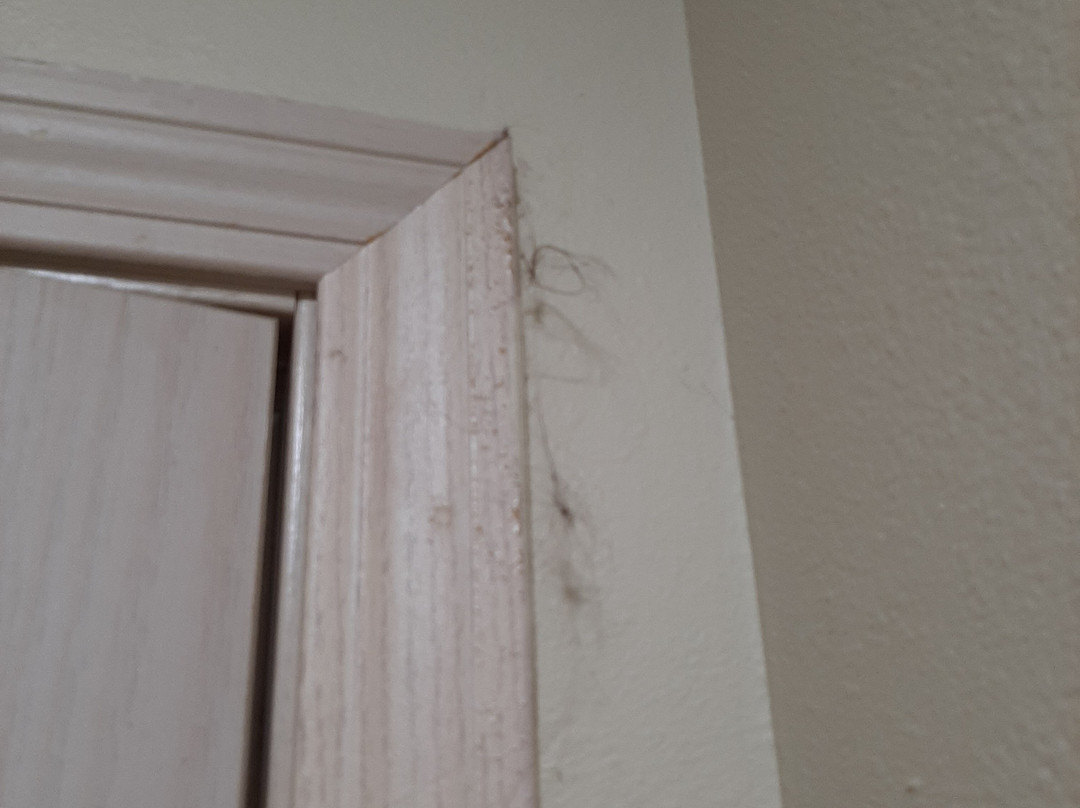 Oceanview Inn at the Arch主图