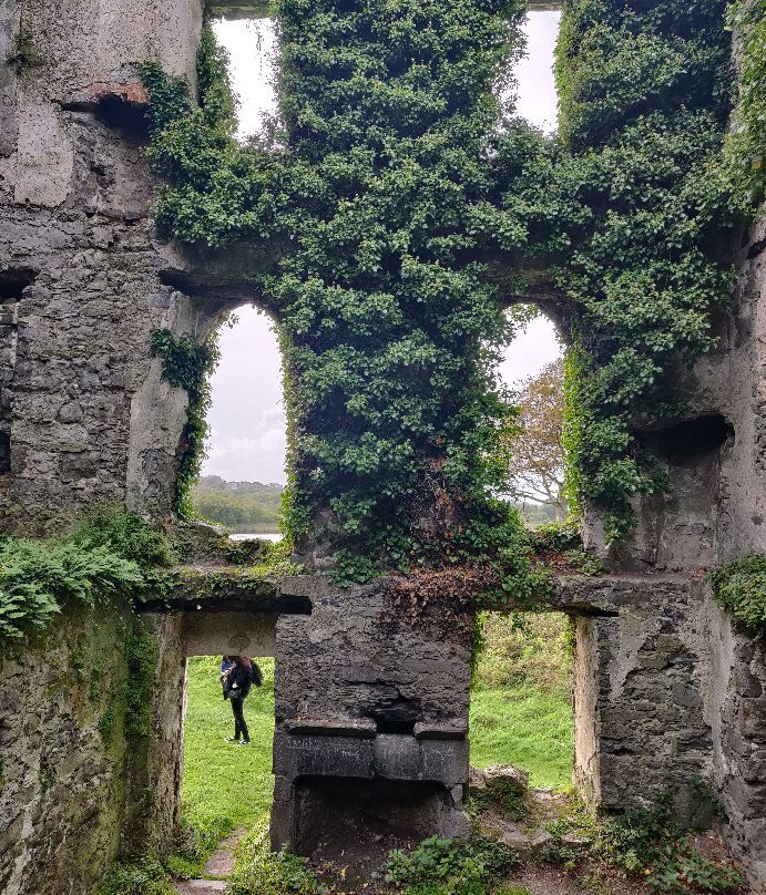 Menlo Castle / Blake's Castle景点图片