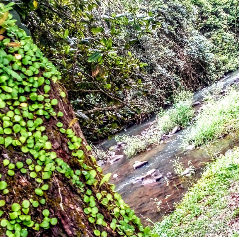 Winfield Park-马兰达必去景点