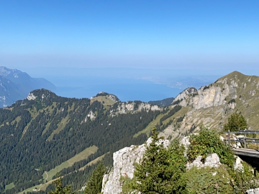 Télécabine Leysin - La Berneuse-莱森必去景点