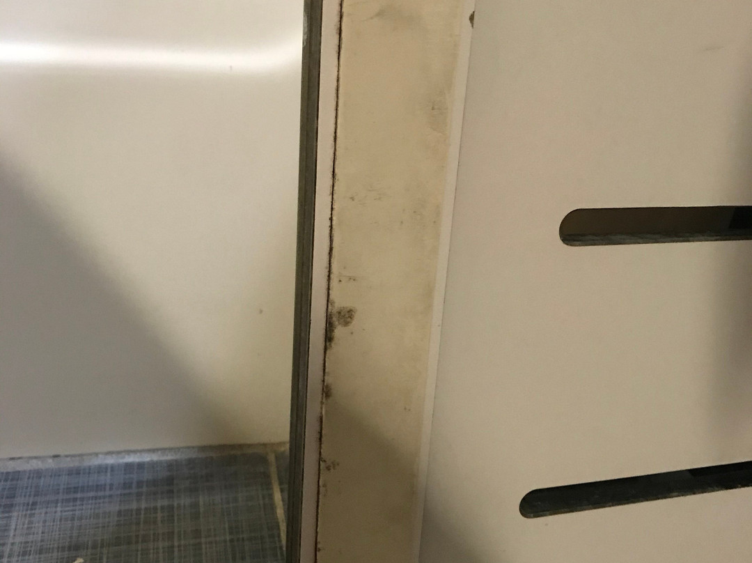 Holiday Inn Express & Suites Havelock Nw-new Bern By IHG主图