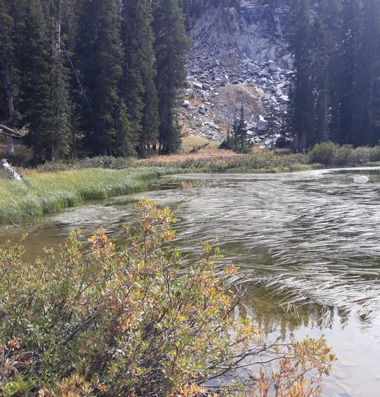 Silver Lake-布莱敦必去景点
