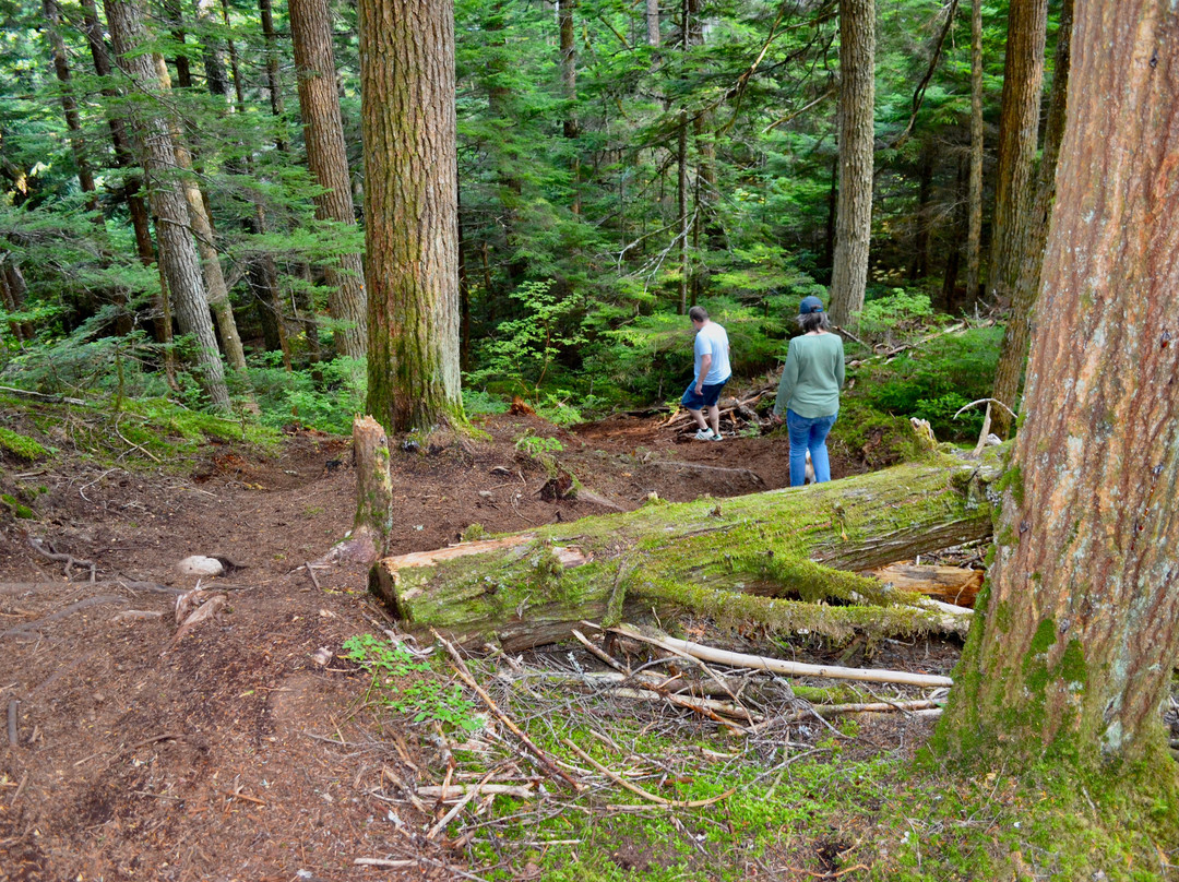 Hai Lake Mount Herman Provincial Park-Terrace必去景点
