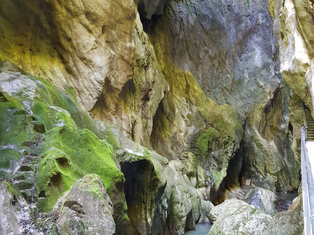 Gorges du Pont du Diable景点图片