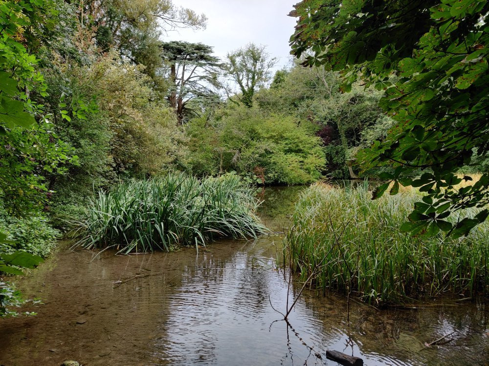 Wychwood Wild Garden景点图片