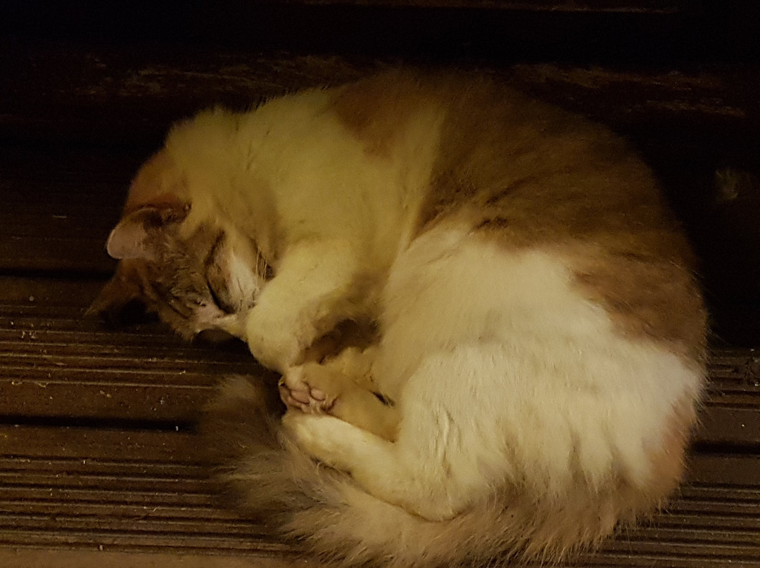 Le Relais de la Maison Rousse主图