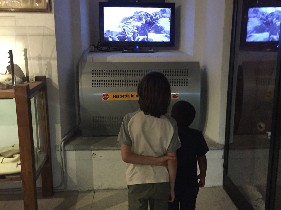 Museo Forte Bramafam景点图片