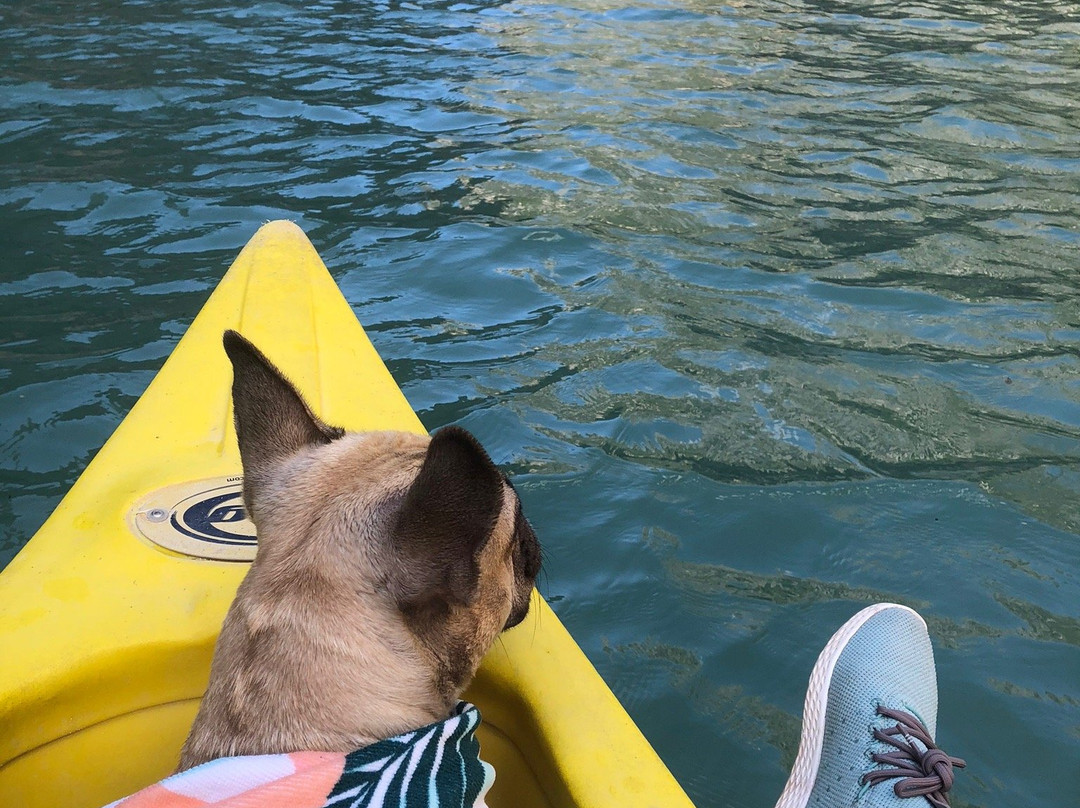 Verdon Canoe景点图片