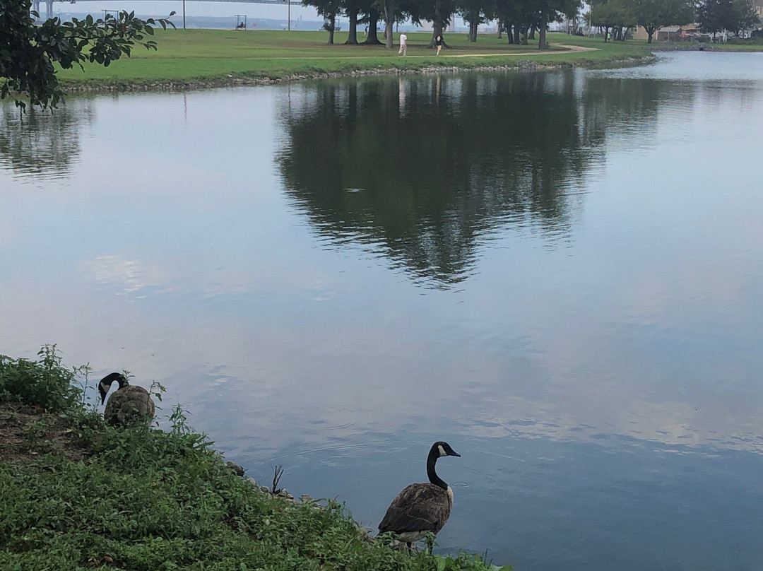 Riverview Beach Park景点图片