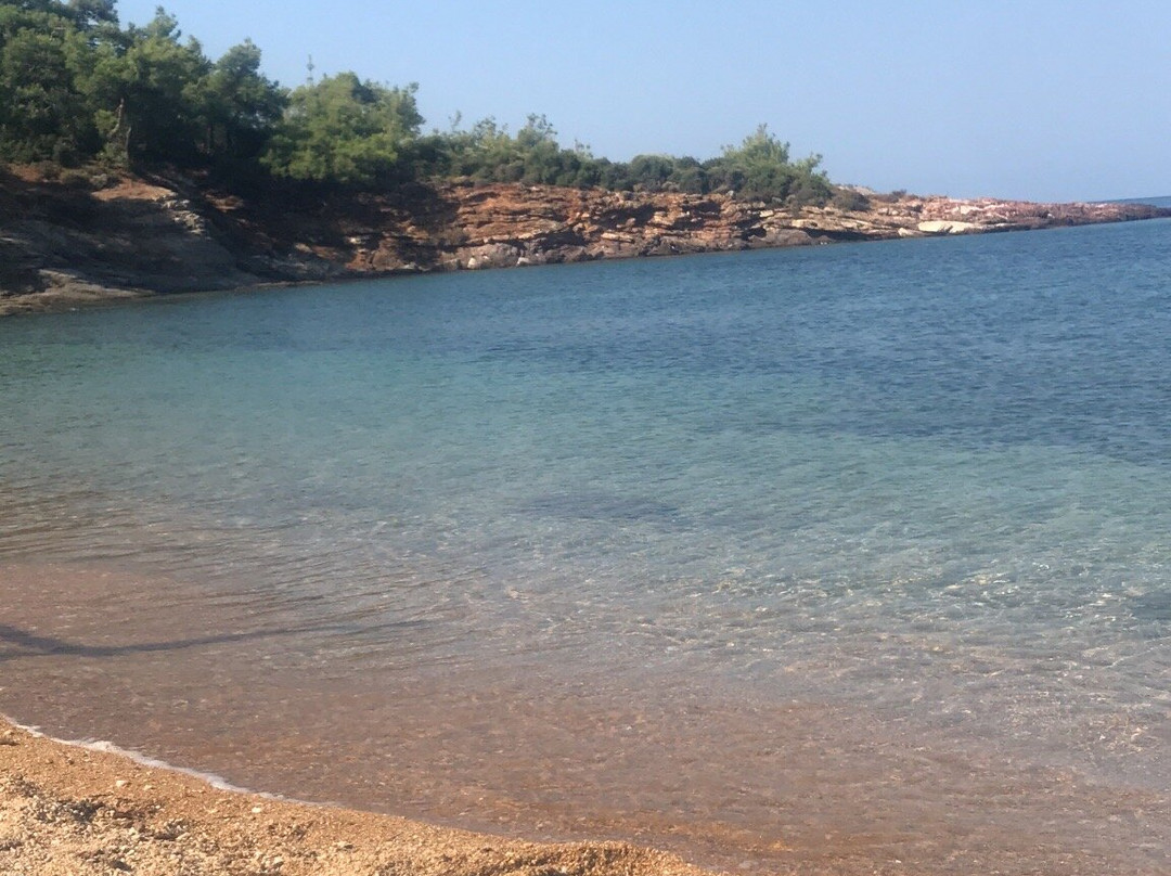 Salonikios Beach景点图片