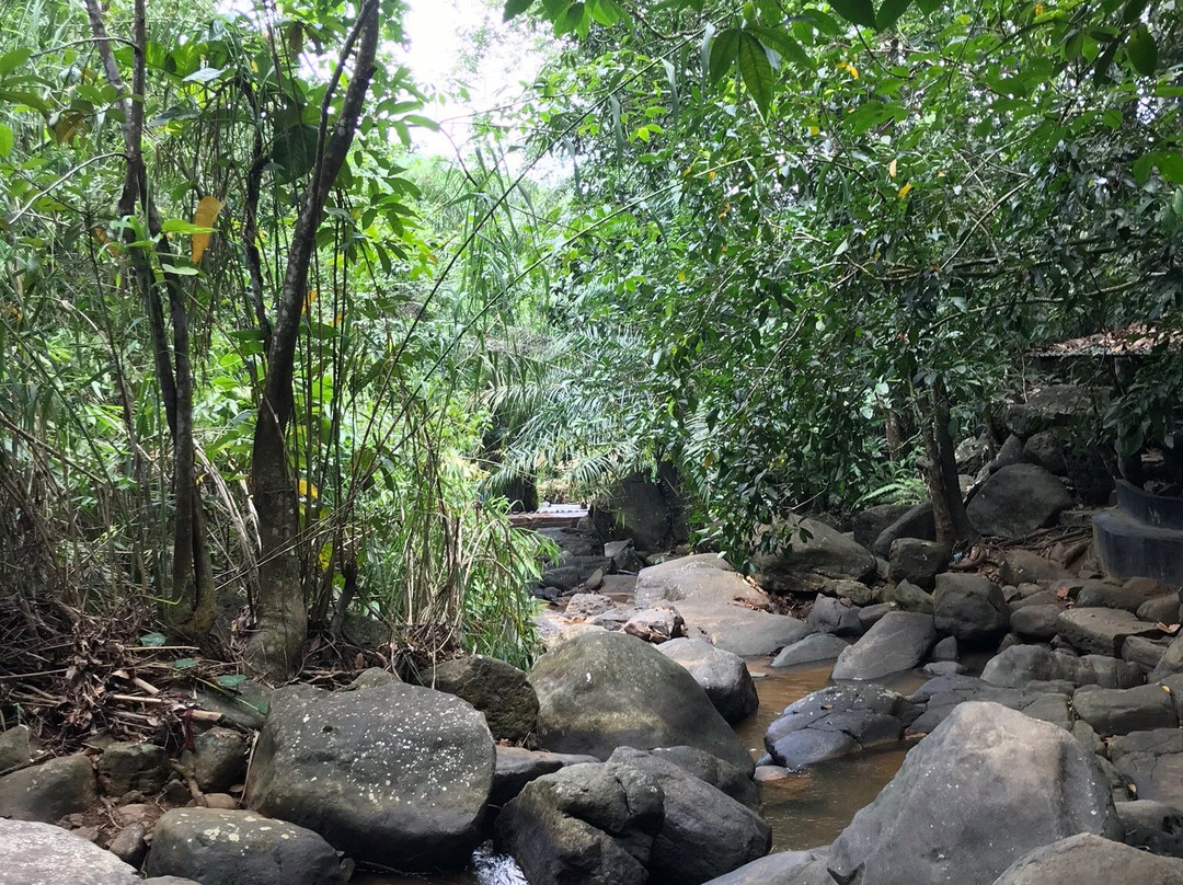 Seethawaka Miracle Nature Resort主图