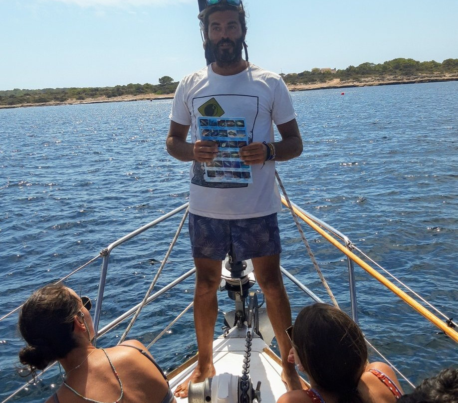 Formentera desde el mar景点图片