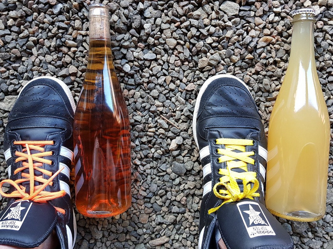Sommelier Social Club景点图片