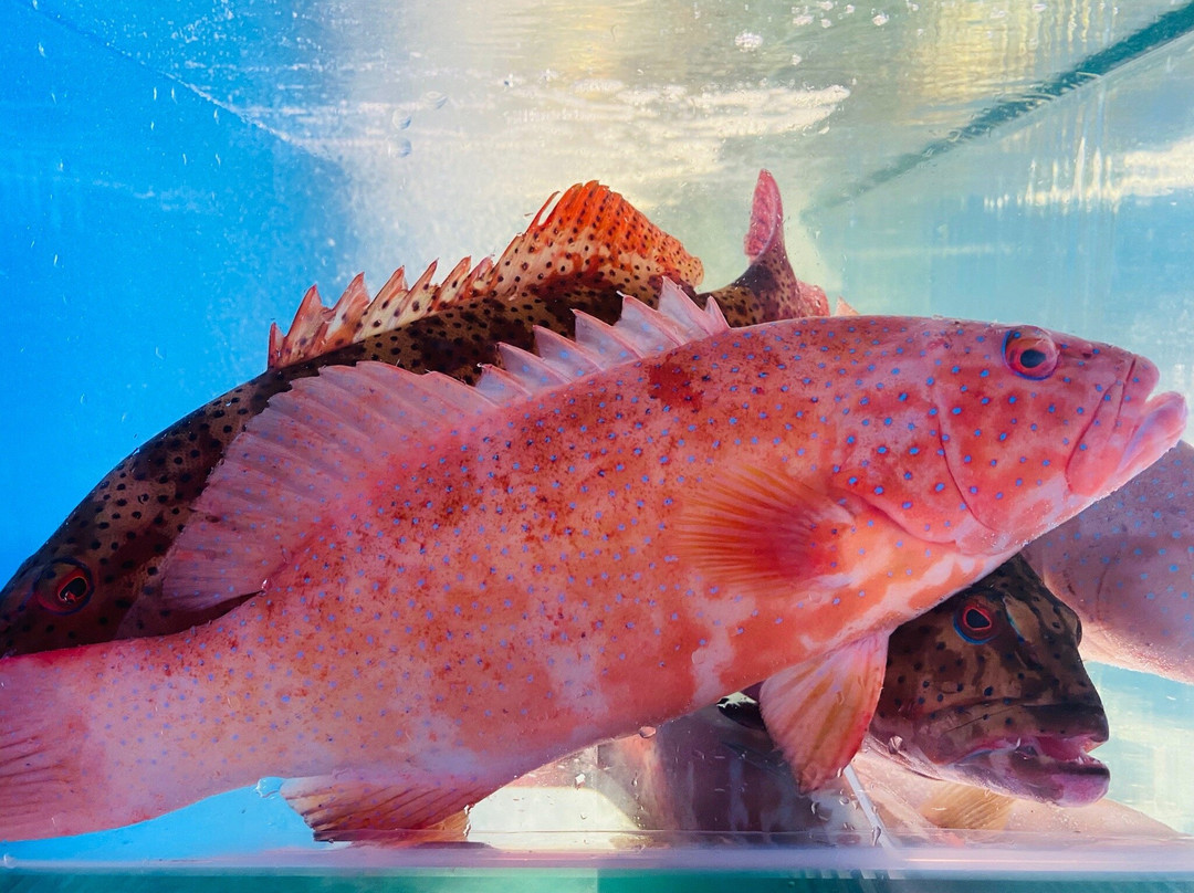 Nha Hang Hai San Keeng