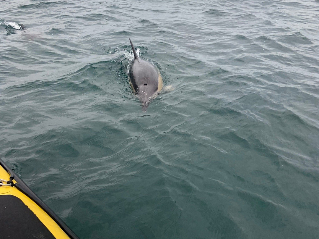 St Ives Boat Rides-圣艾维斯必去景点
