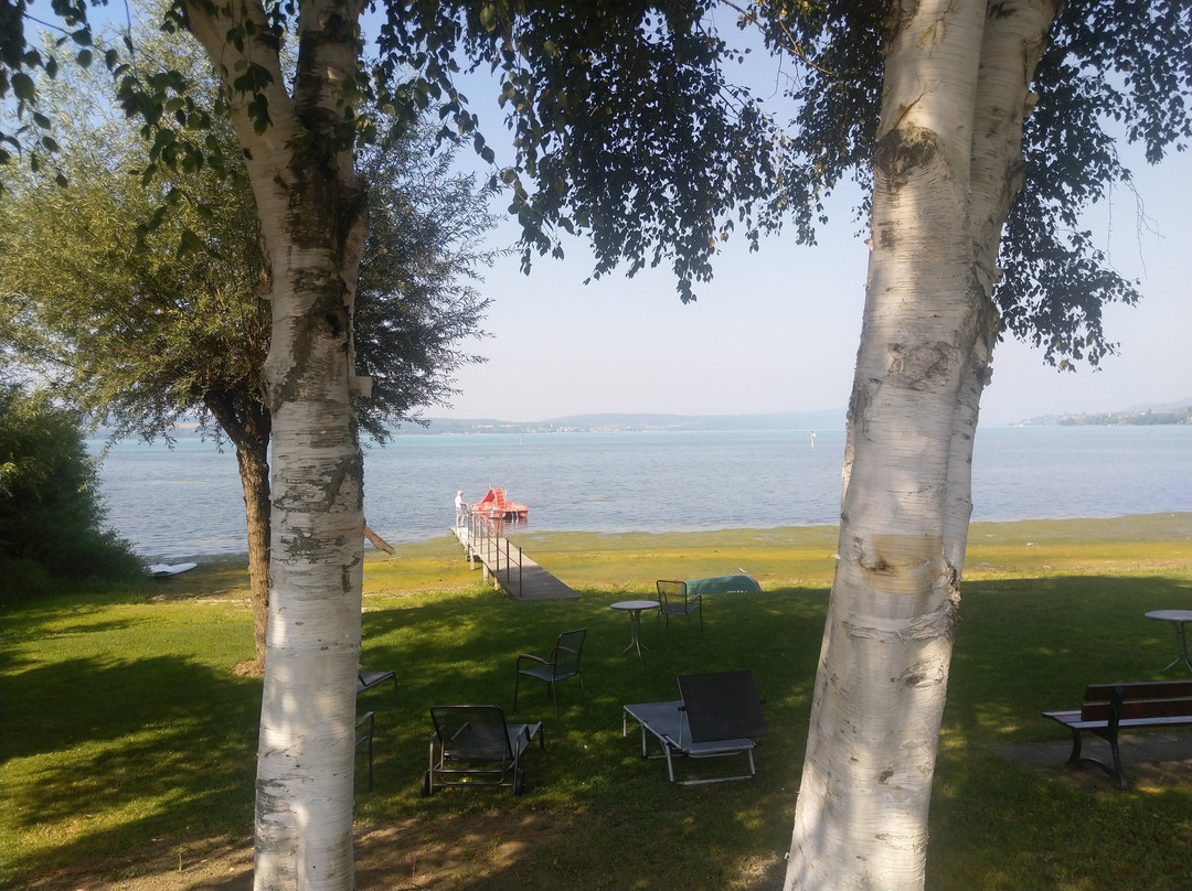 Landhotel Fischerhaus主图