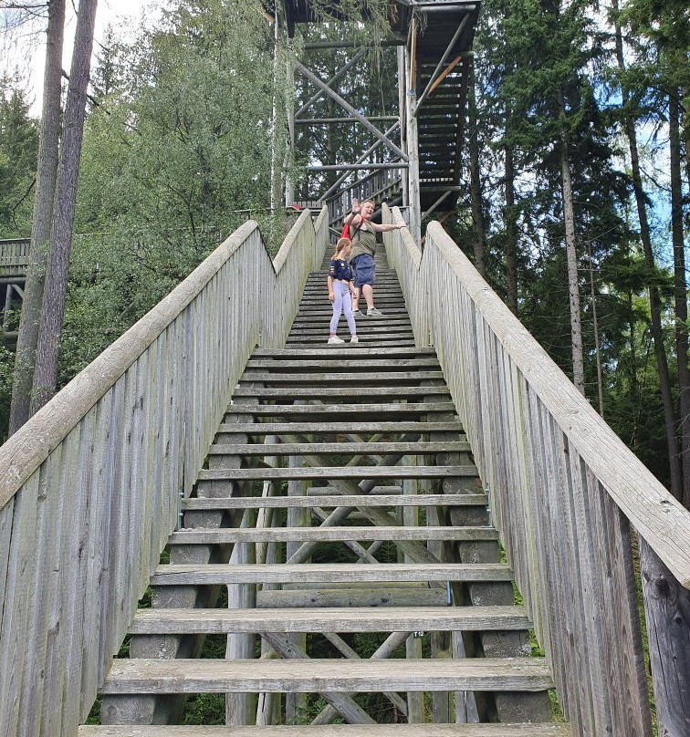 Wipfelwanderweg Rachau-Sankt Margarethen bei Knittelfeld必去景点