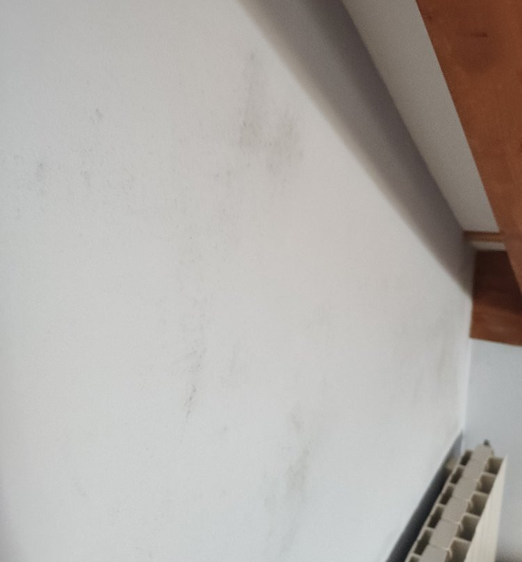Posada Rural La Cabana de Salmon主图