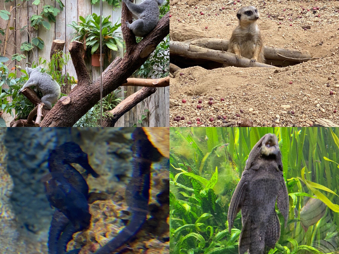 Zoo Duisburg景点图片