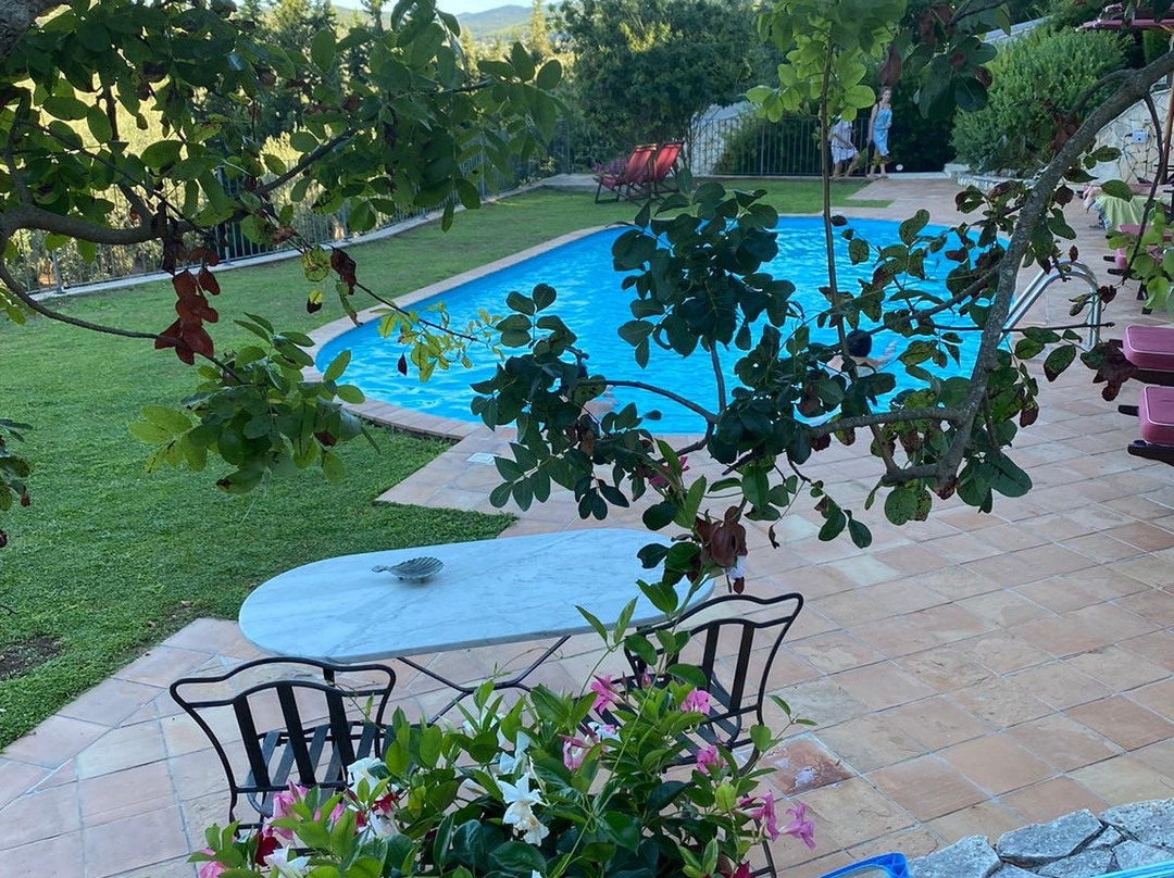 马塞里亚齐萨摩尔乡村民宿主图